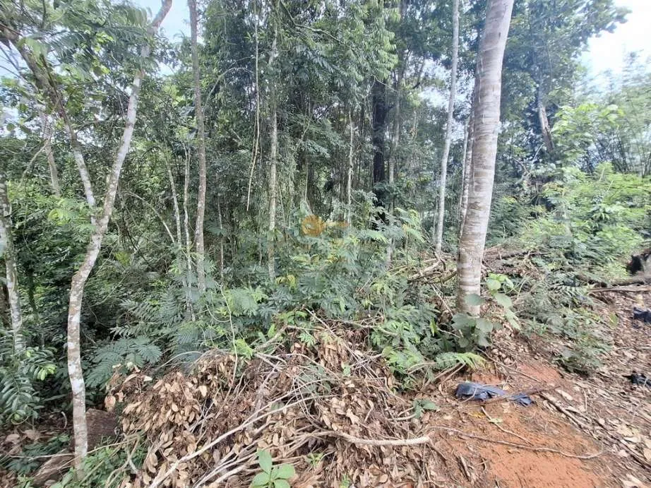 Imagem Terreno em Condomínio para Venda em Teresópolis / RJ no bairro Parque do Imbui
