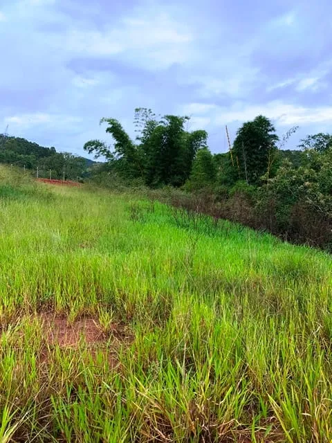 Imagem Chácara à venda 1666.67M², Goiabal, Pindamonhangaba - SP