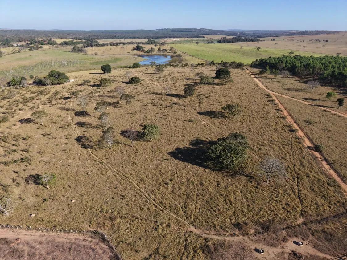 Imagem Fazenda à Venda em Papagaios/MG ? 150 Hectares