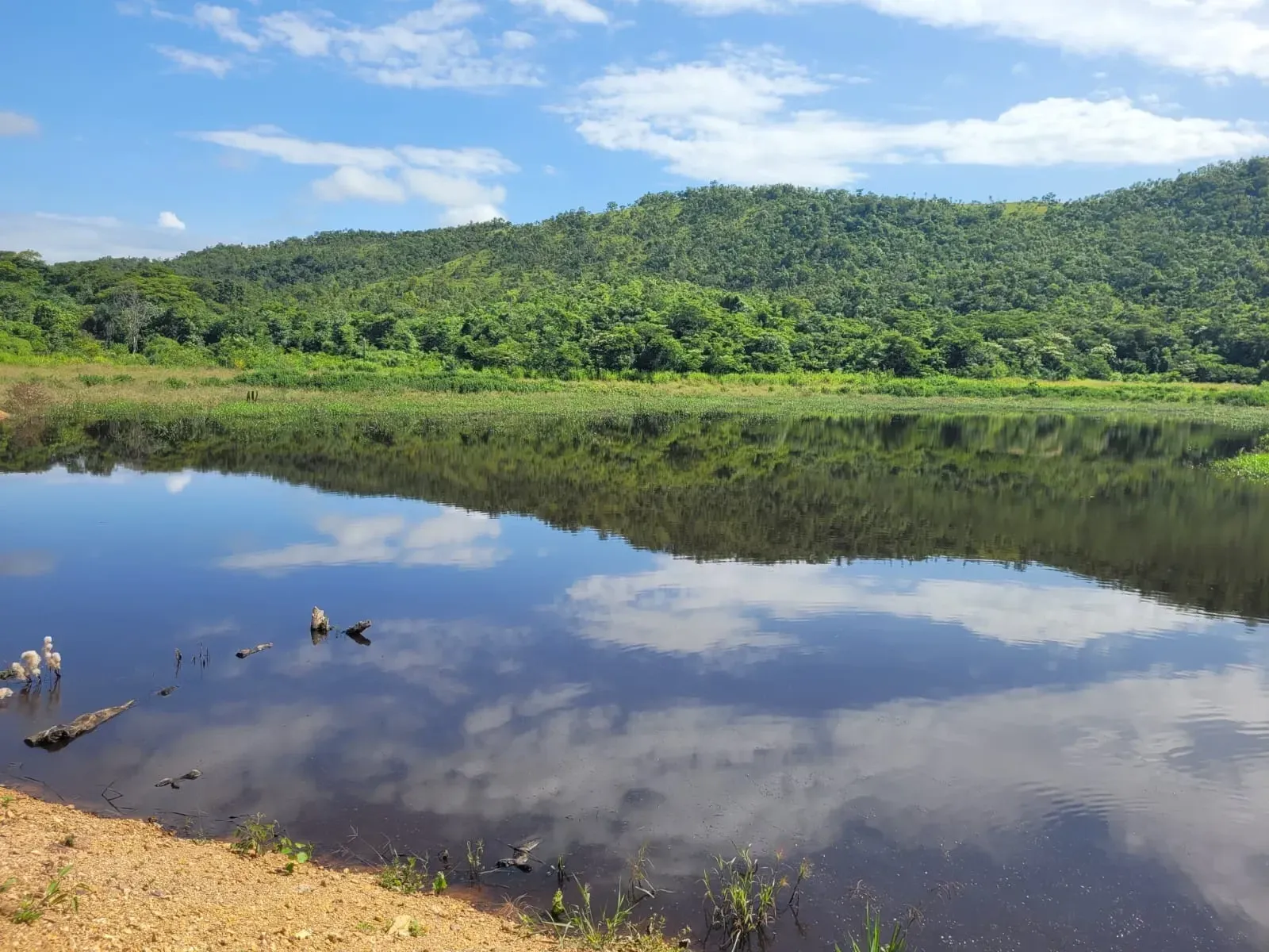 Imagem Fazenda à Venda, 600 HA em Floresta do Araguaia - Floresta do Araguaia