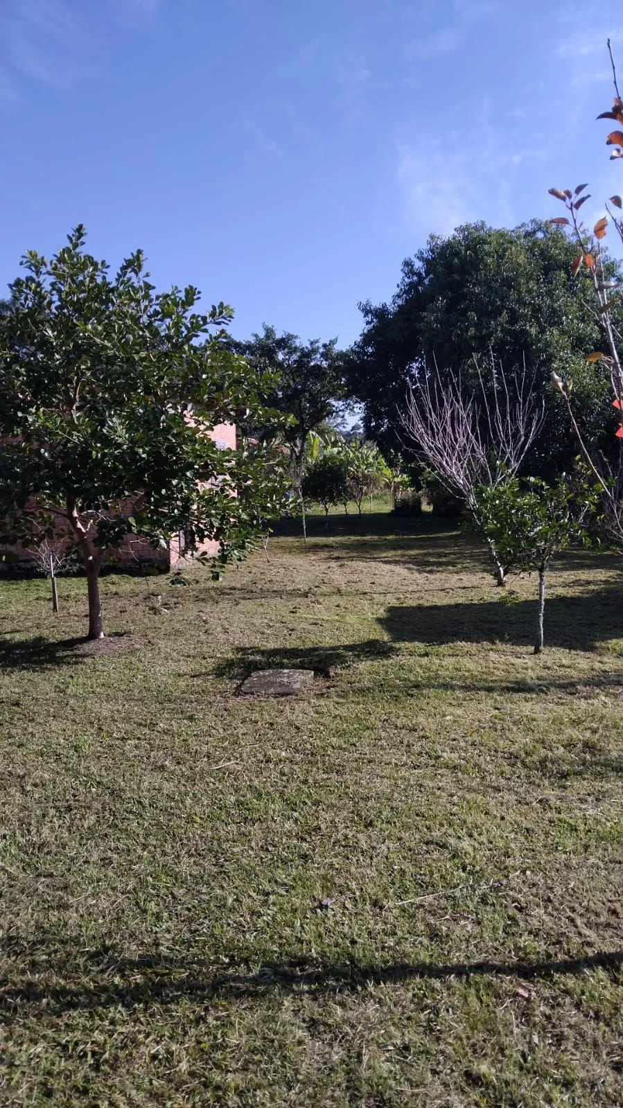 Imagem Terreno no Bairro Ponta Grossa