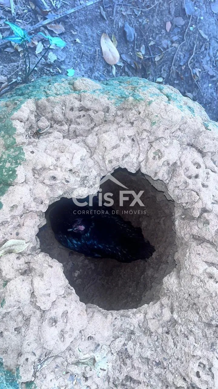 Imagem Chácara de 2 quartos, 224m² no bairro Chácaras São Bento, em Valinhos