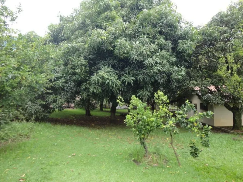 Imagem Oportunidade única: Área Comercial à venda em Valinhos-SP, no Jardim Paiquerê, com 1 quarto, 1 sala, 1 banheiro e 600,00 m².