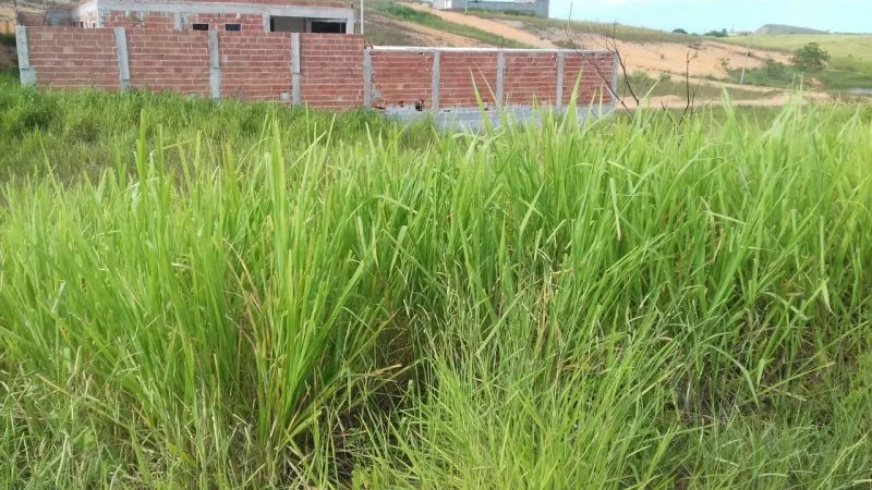 Imagem Terreno a Venda no bairro Cidade Praiana - Rio das Ostras, RJ