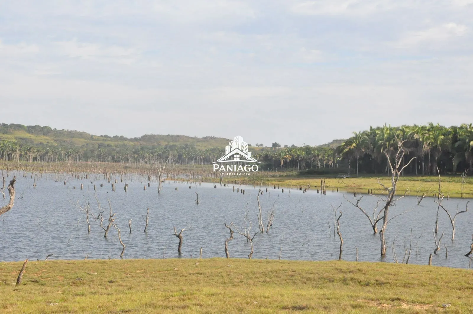 Imagem Chácara de 18 Hectares com Beira de Lago à Venda OPORTUNIDADE