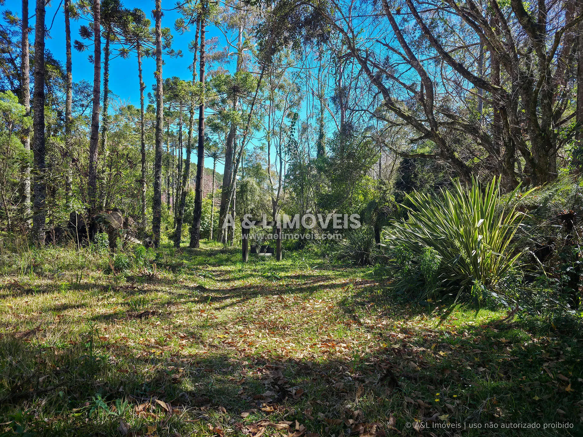 Imagem Lote à venda no Reserva Figueiredo | Campos do Jordão