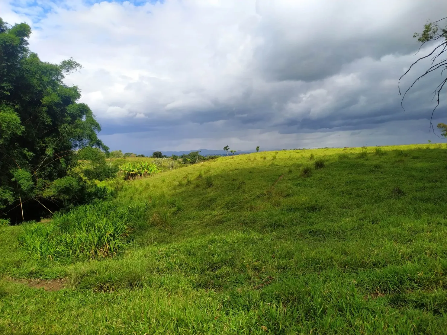 Imagem Chácara à venda 170000M², Bom Sucesso, Pindamonhangaba - SP