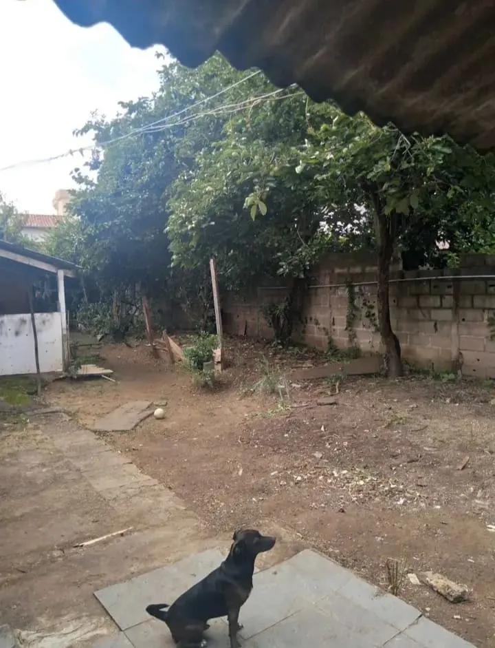 Imagem Terreno à venda 410M², Parque Urupês, Taubaté - SP