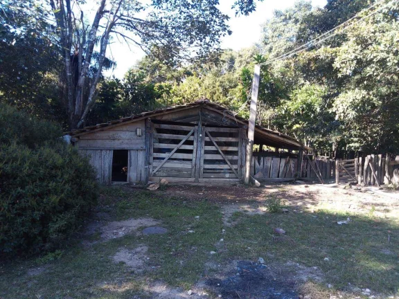 Imagem Fazenda à Venda em Faina - 237 Alqueires de Oportunidade!
