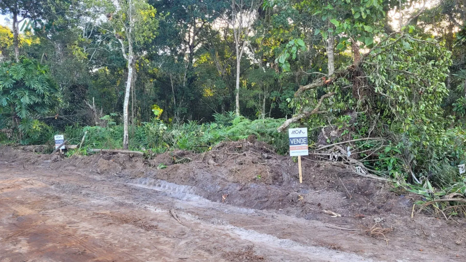 Imagem 4 terrenos sendo uma ESQUINA, com vegetação, localizado na Rua 2730, 888 - Bairro Pontal do Norte ...