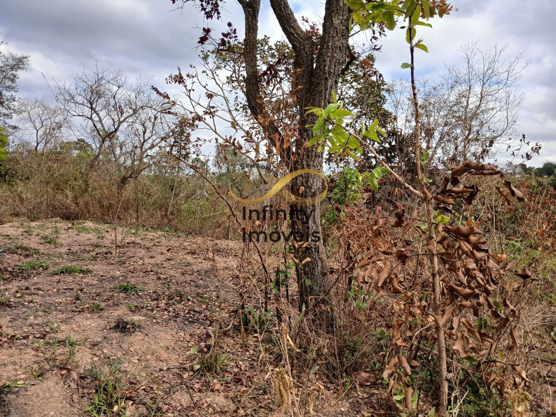 Imagem TERRENO PARA SÍTIO OU MORADIA EM JUATUBA