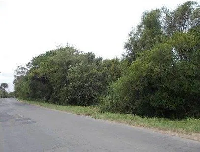 Imagem Terreno em Ponta Grossa