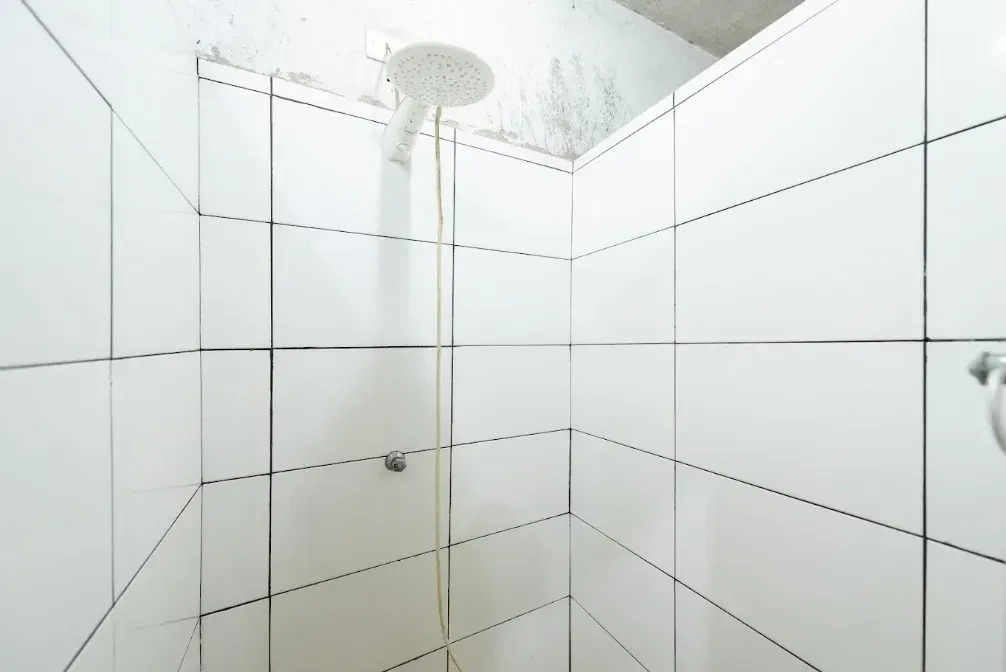 Imagem Galpão para Alugar, 365 m² em Macuco - Santos