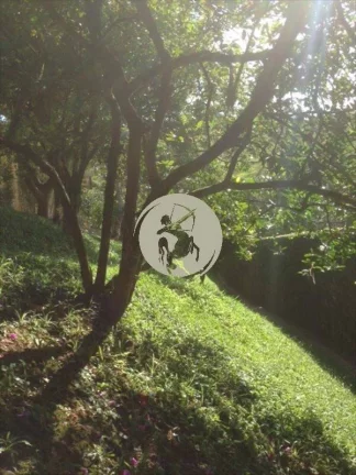 Imagem JARDIM COM POMAR: ACEROLA, AMEIXA, JABUTICABA, AMORA, LIMÃO, LARANJA, GOIABA, PITANGA, MEXERICA ETC...