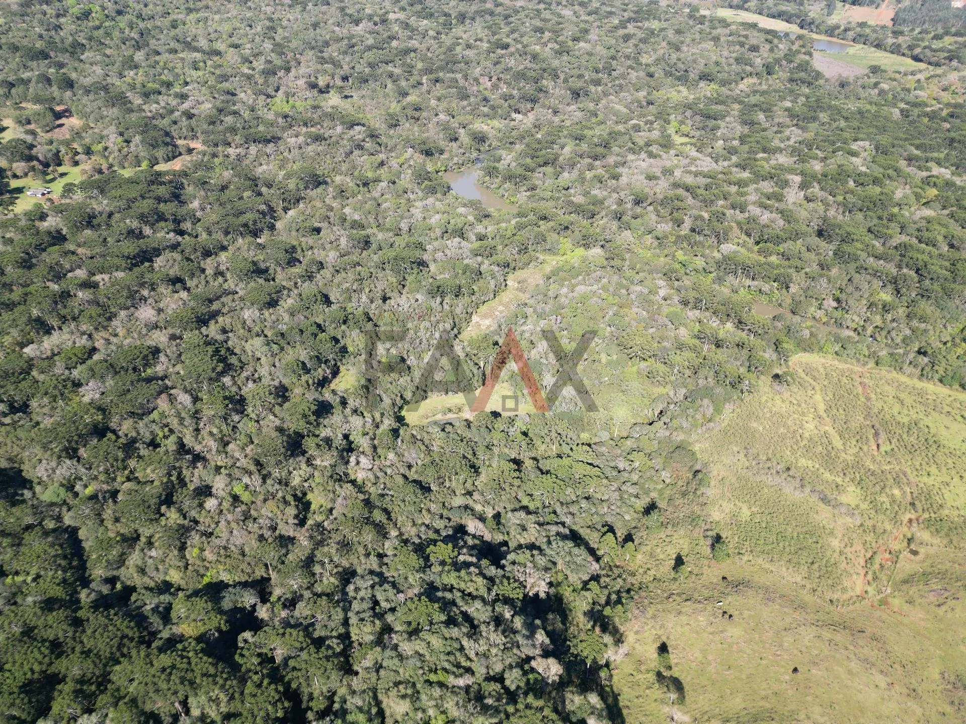 Imagem Área rural à venda proximo ao hopy valley com rio em Guarapuava - PR