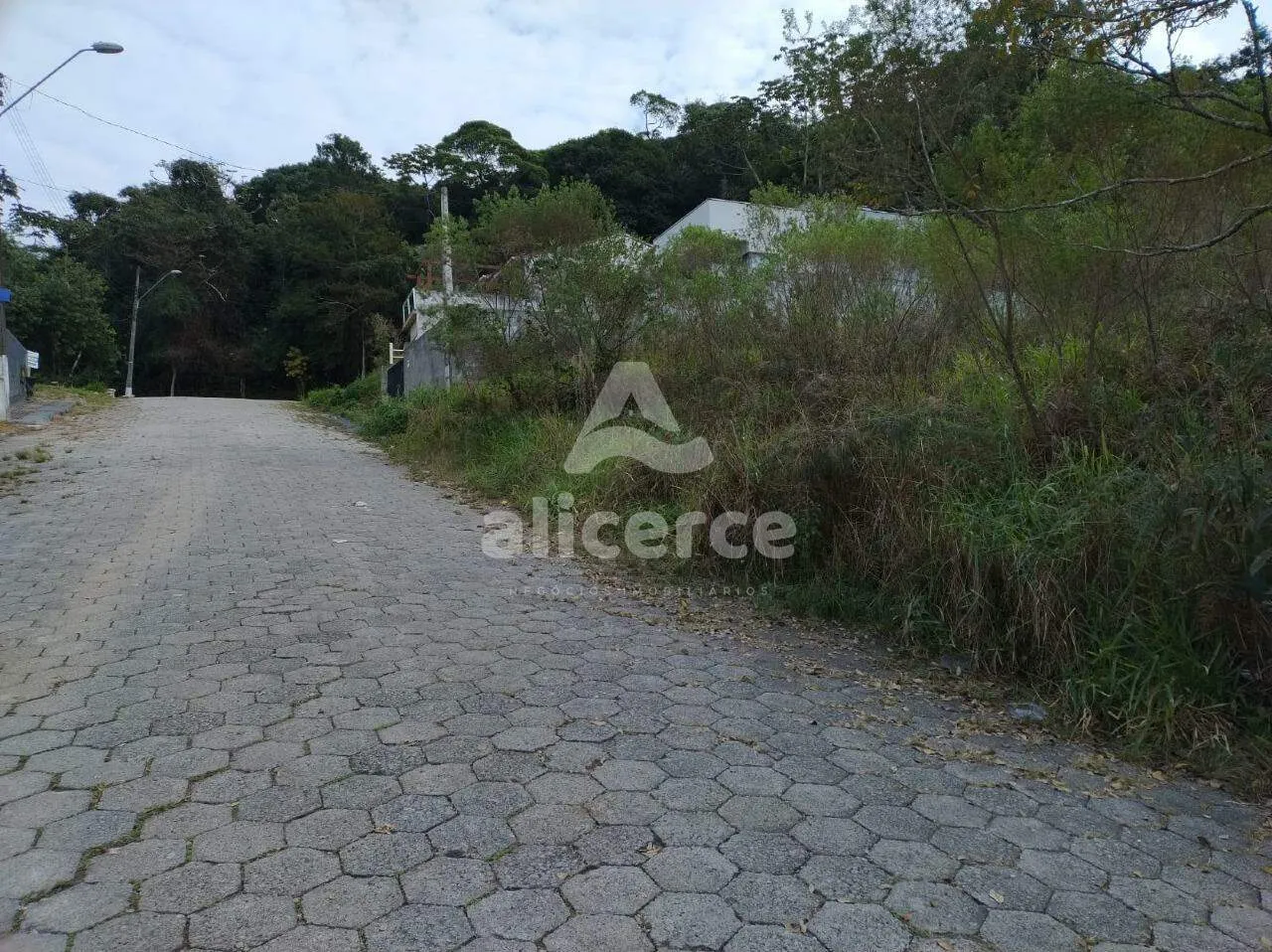 Imagem Terrenos planos, prontos pra construir em Forquilhas - São José - SC
