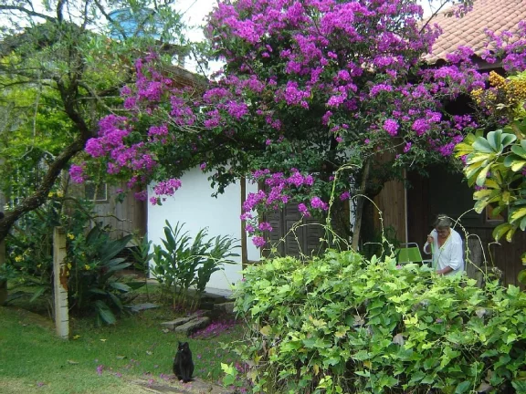 Imagem Oportunidade: Terreno à venda na Praia do Rosa, Imbituba-SC com 1.080,00 m² de área!