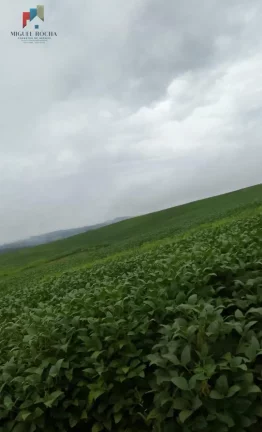Imagem Fazenda região Itapetininga SP