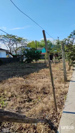 Terreno na Av. João Machado Soares, esq. c/ Cruz e Souza