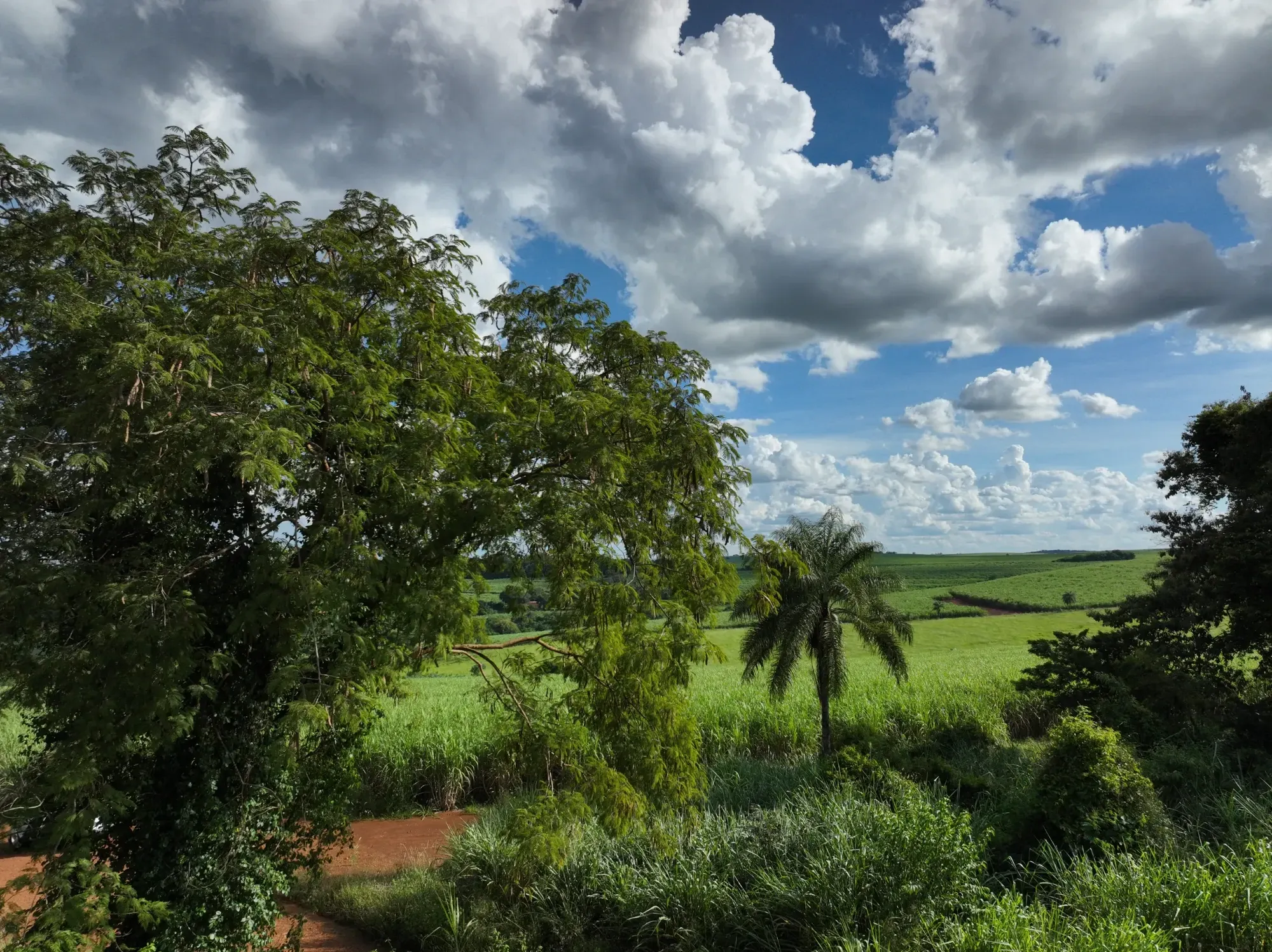 Imagem Fazenda à Venda, 232 HA em Zona Rural - Franca