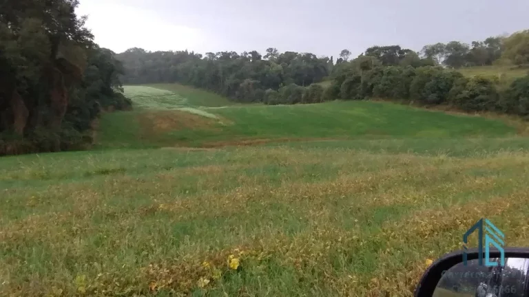 Imagem Sitio a venda, 375,100 mil m² (15.5 alqueires), aproximado 7 alqueires de plantio restante reserva e pasto, em Condói PR