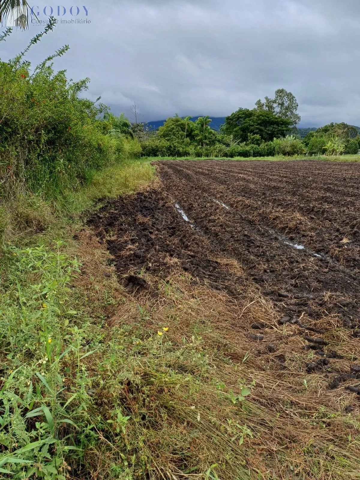 Imagem ÁREA RURAL