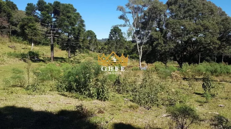 Imagem Chácara - Sítio localizado(a) no bairro Linha Bonita em Gramado / RIO GRANDE DO SUL Ref.:1406