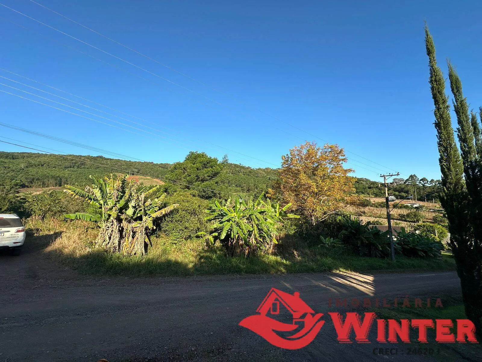 Imagem 10 hectares com Casa na Linha Nova!