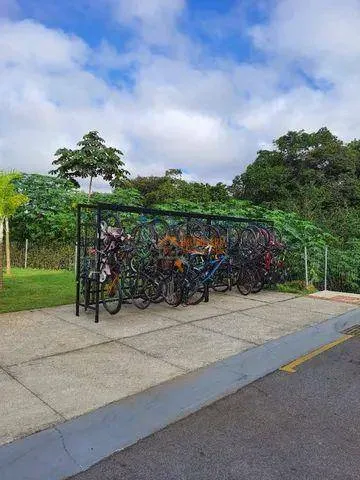 Imagem Apartamento com 2 dormitórios à venda, 43 m² por R$ 234.500,00 - Jardim São Domingos - Guarulhos/SP
