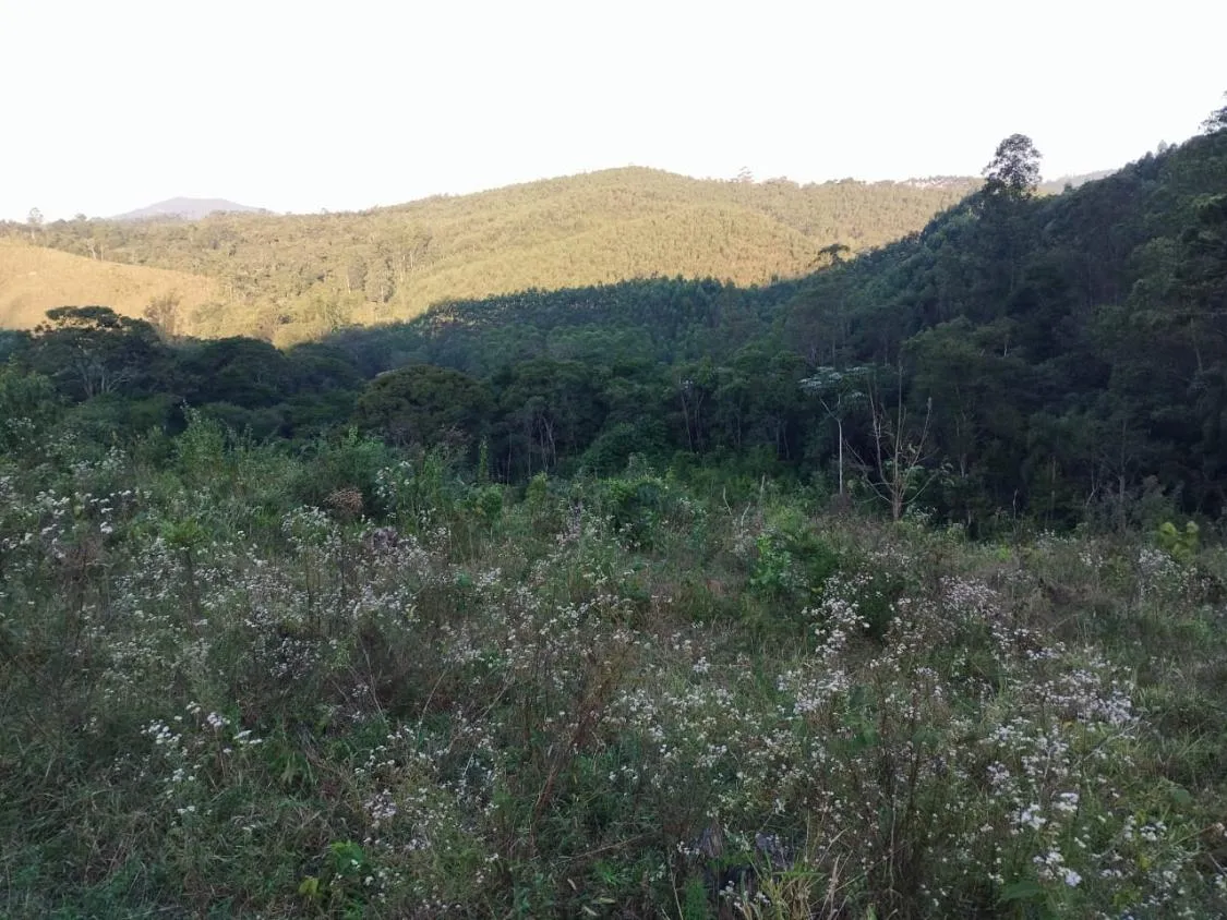 Imagem 4 Alqueires à Venda em Piracaia ? Ótima Localização!