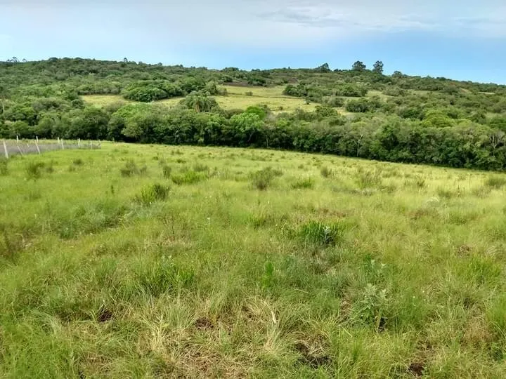 Imagem Sítio para Venda em Piratini, zona rural, 1 dormitório, 1 banheiro