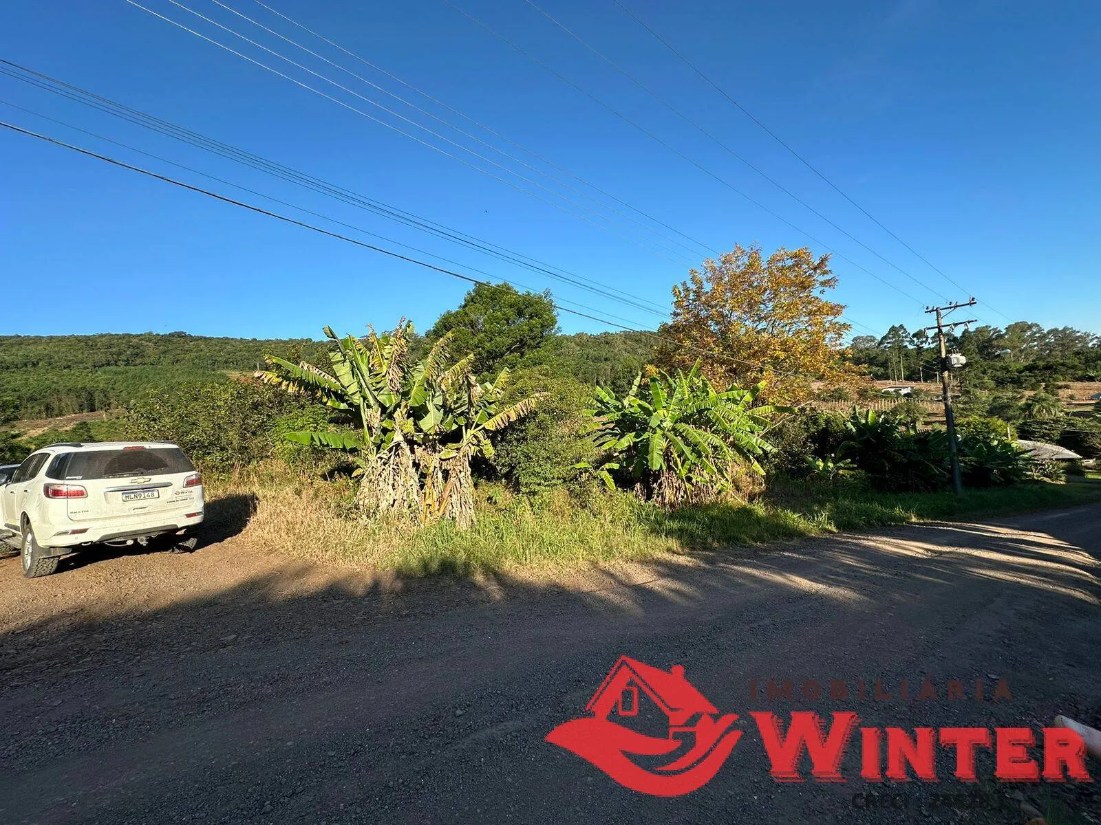 Imagem 10 hectares com Casa na Linha Nova!