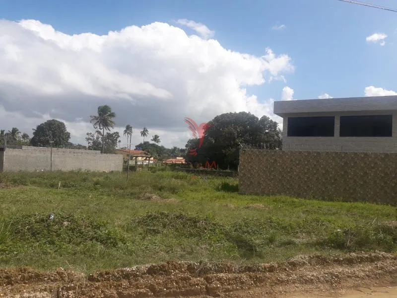 Imagem Terreno 304m² Nova Cruz Igarassu/PE