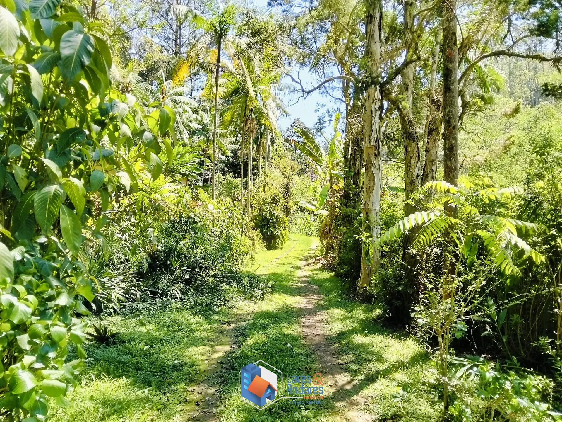 Imagem ARRENDAMENTO DE SITIO COM NASCENTE, ÁREA PARA PLANTIO, CASA COM 3 DORMITÓRIOS, CASEIRO, COM MAIS DE 40.000 METROS IDEAL PARA ONGS - SÃO LOURENÇO DA SERRA.