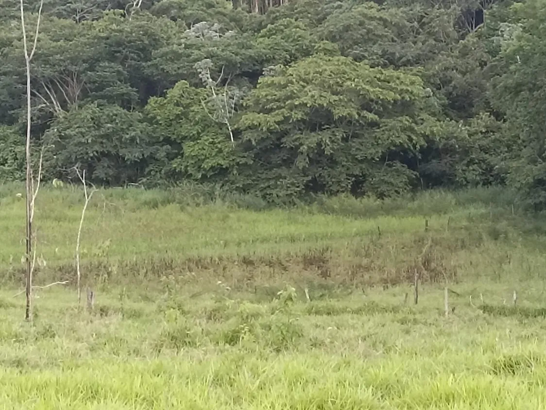 Imagem Terreno a venda de 24,3 hectares às margens do Rio Picão