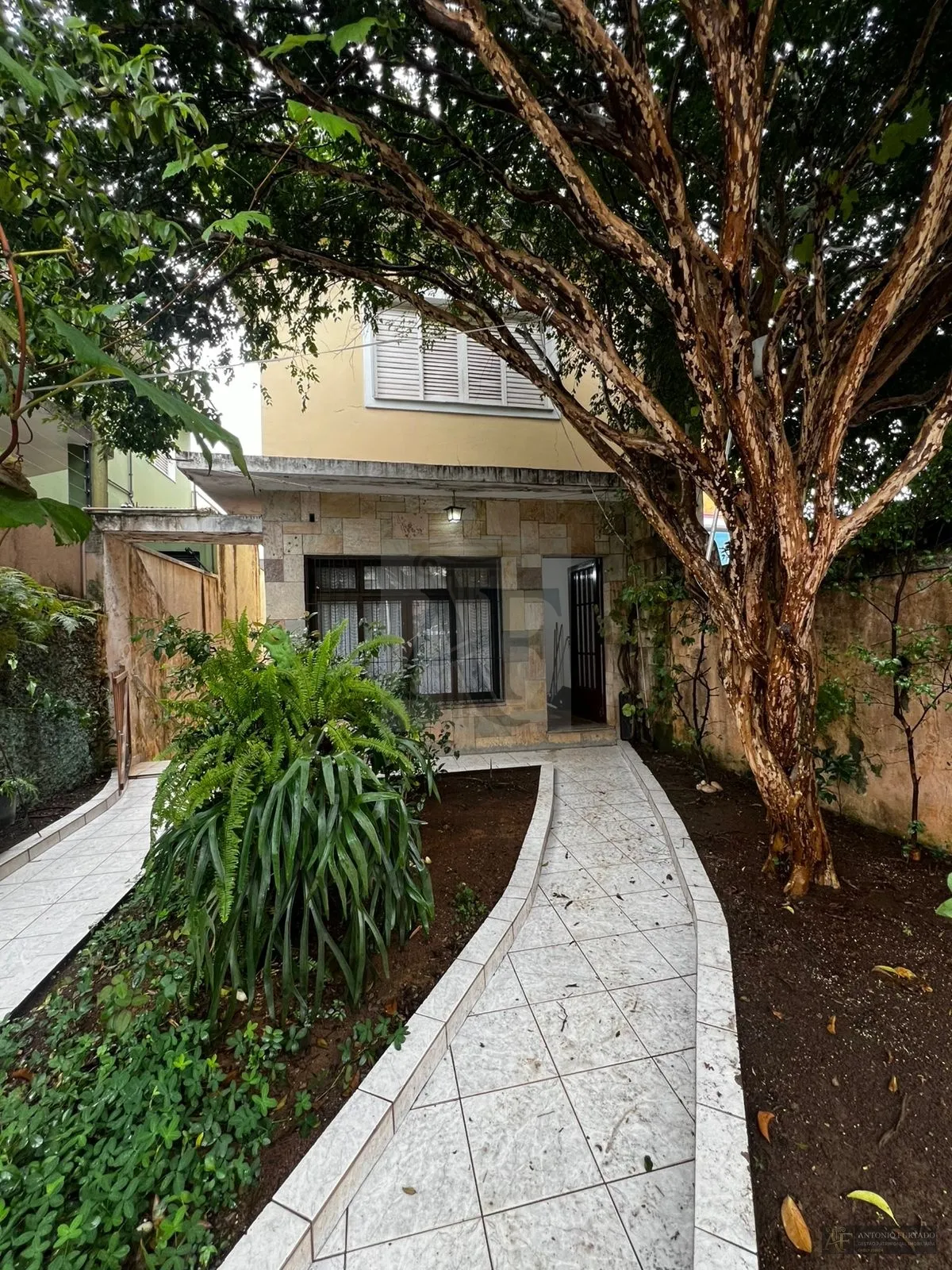 Foto do imóvel Sobrado para alugar em Vila Zelina, São Paulo