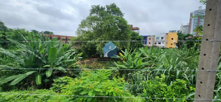 Imagem Terreno na Avenida Jacira Reis - Dom Pedro