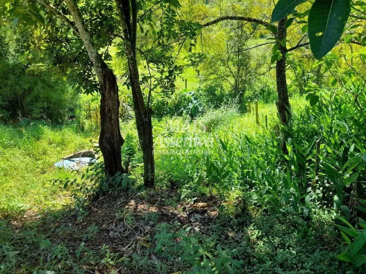 Imagem Terreno para Venda em Rolante / RS