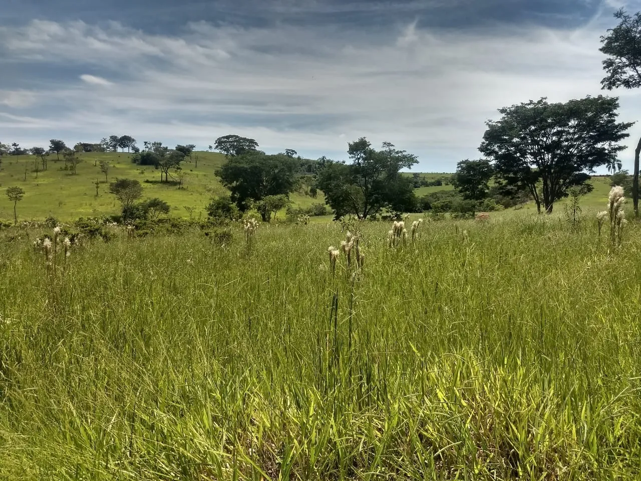 Imagem Chácara à venda 400000M², Barreiro, Taubaté - SP