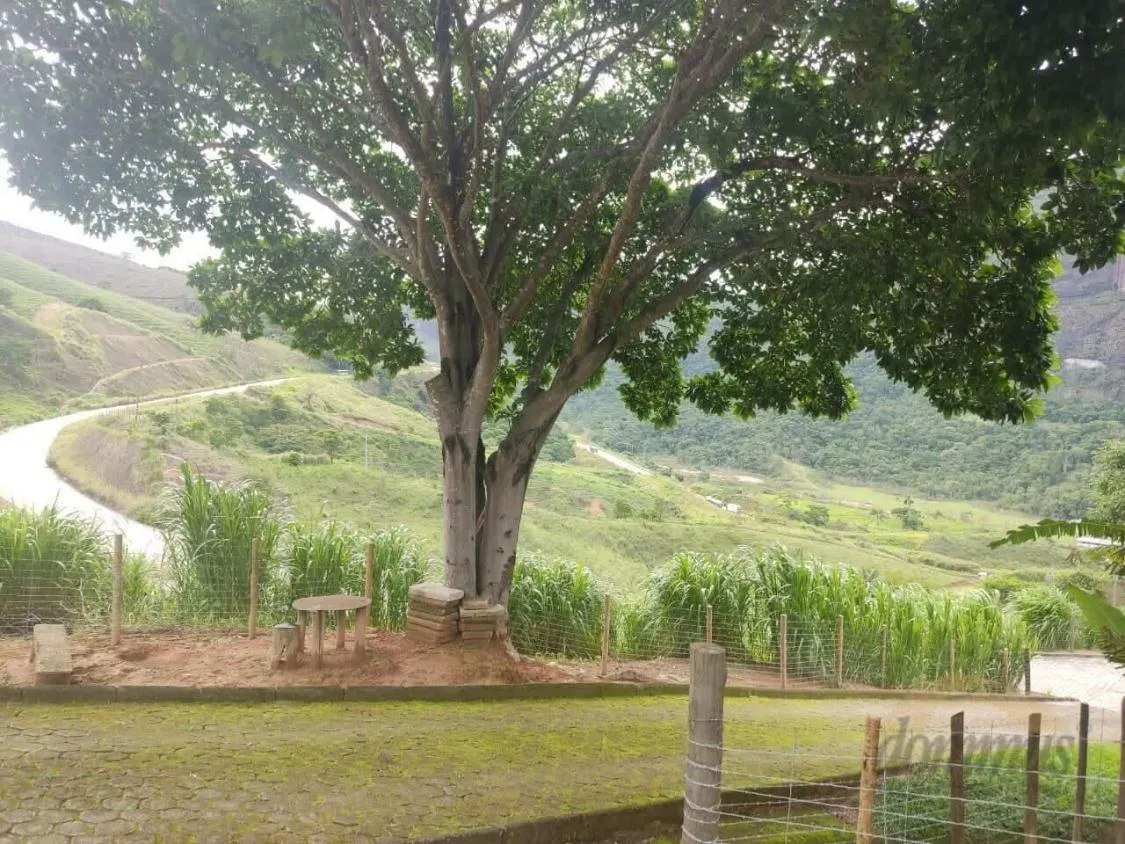 Imagem FAZENDA À VENDA Antônio Dias 48 hectares de terra