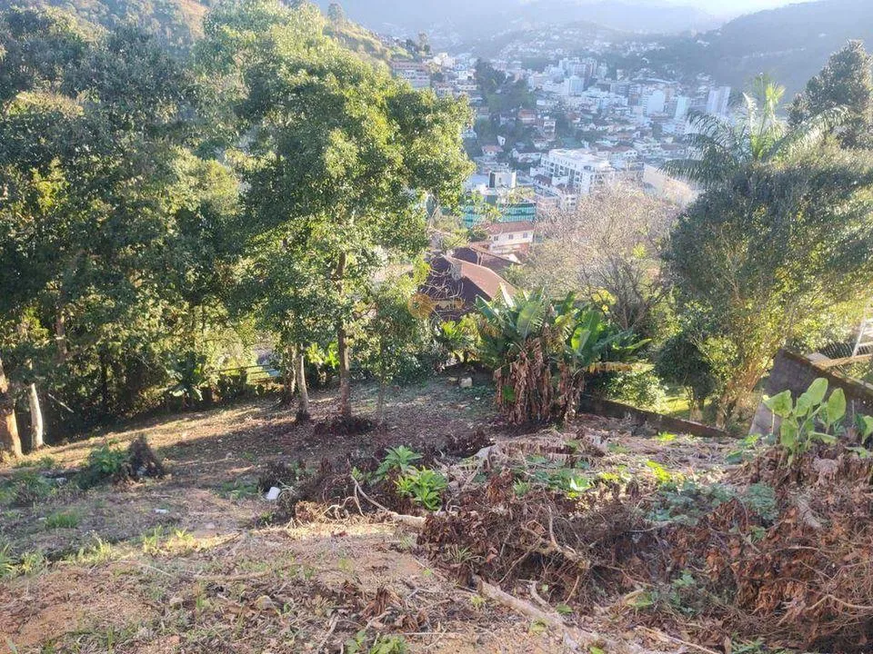Imagem Terreno para Venda em Teresópolis / RJ no bairro Parque São Luiz
