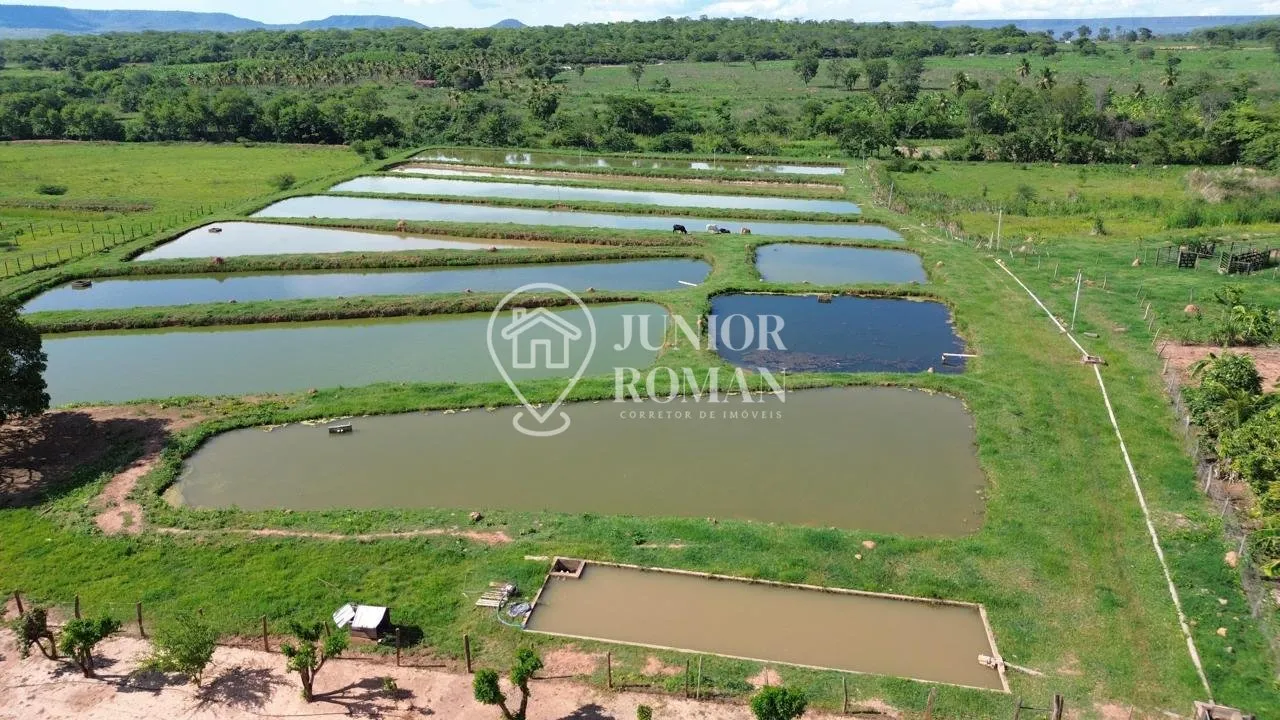 Imagem CHÁCARA / SÍTIO À VENDA COM 5 HECTARES - EXCELENTE ESTRUTURA RURAL