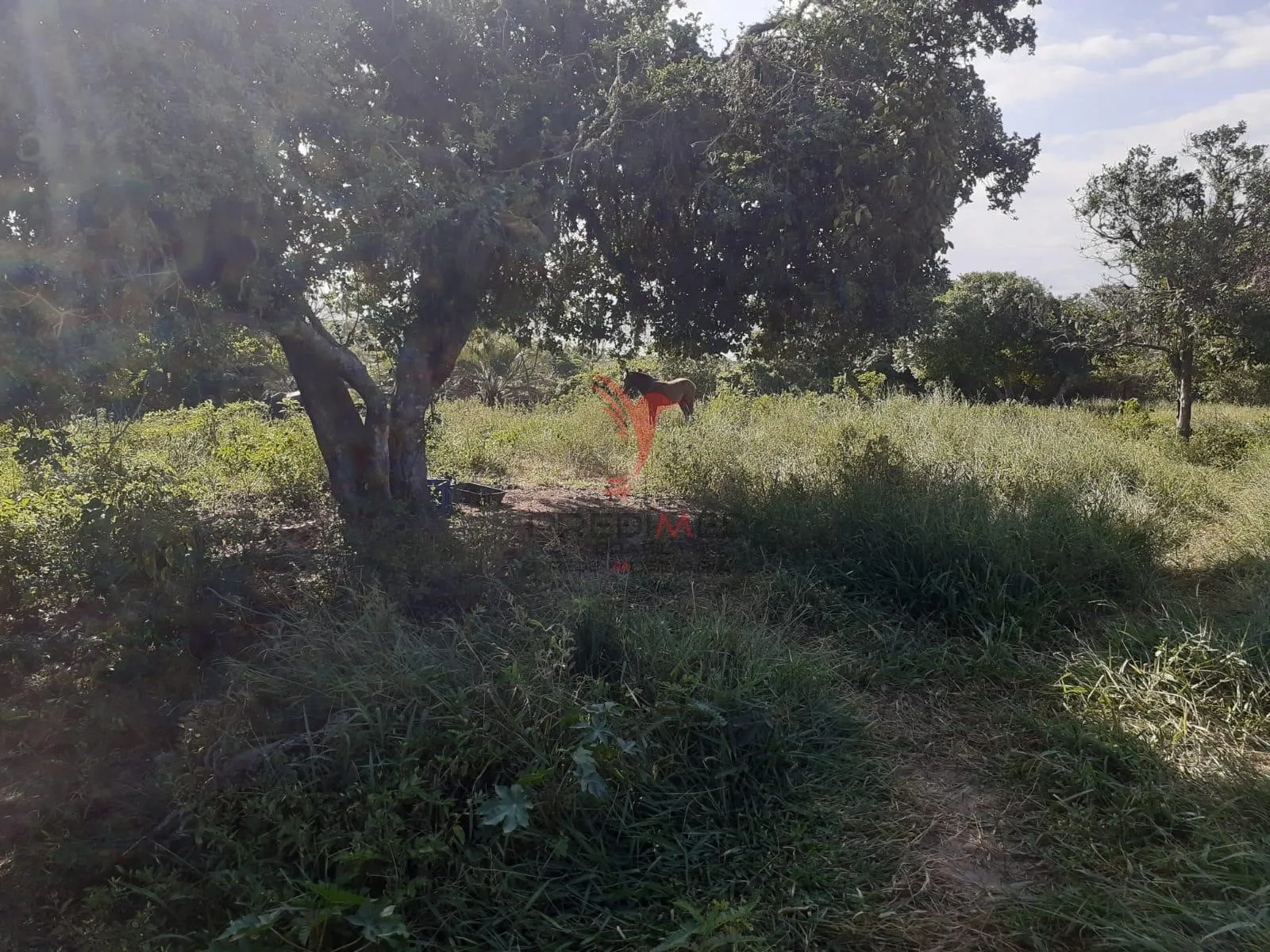 Imagem Linda propriedade e um ótimo investimento!!!