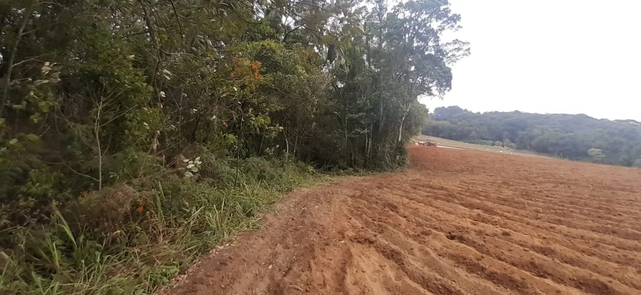 Foto do imóvel Projeto pioneiro de compensação ambiental em Piedade, SP! em PIEDADE, PIEDADE - SP