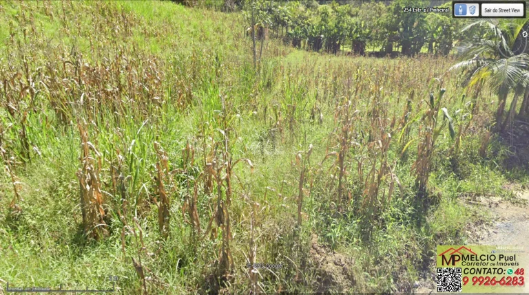 Imagem Sítio a venda em Major Gercino, tem casa de alvenaria com 2.500m² aproximadamente de área de plantio. De fácil acesso, 5Km do centro do Major Gercino