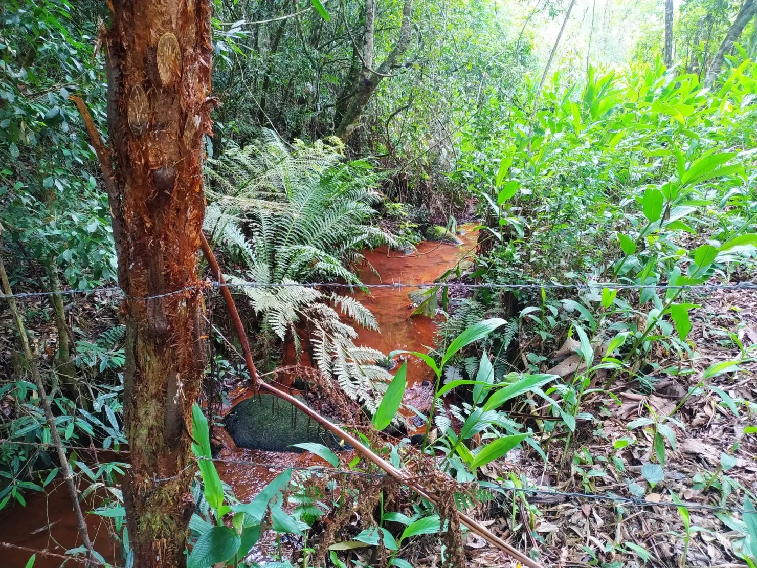 Imagem Chácara à venda 1700000M², Centro, São Luiz do Paraitinga - SP