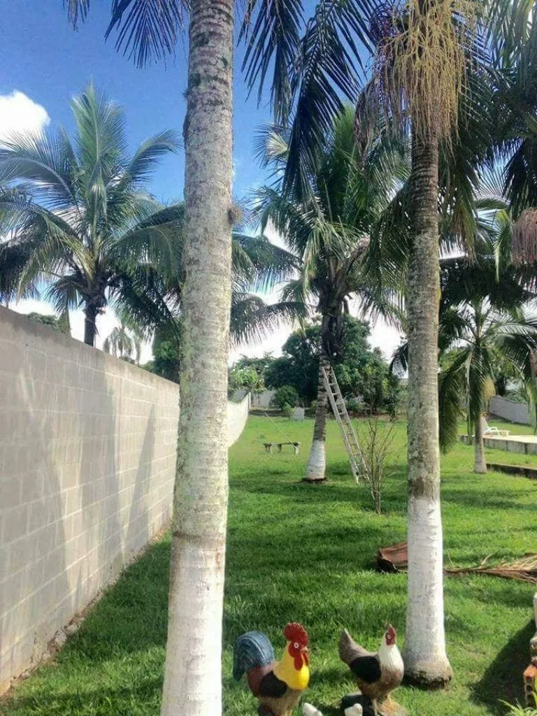 Imagem Chácara à venda 2700M², Santa Edwiges, Guaratinguetá - SP
