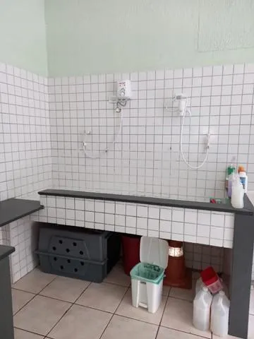 Imagem PET SHOP -VILA POMPEIA-SÃO PAULO