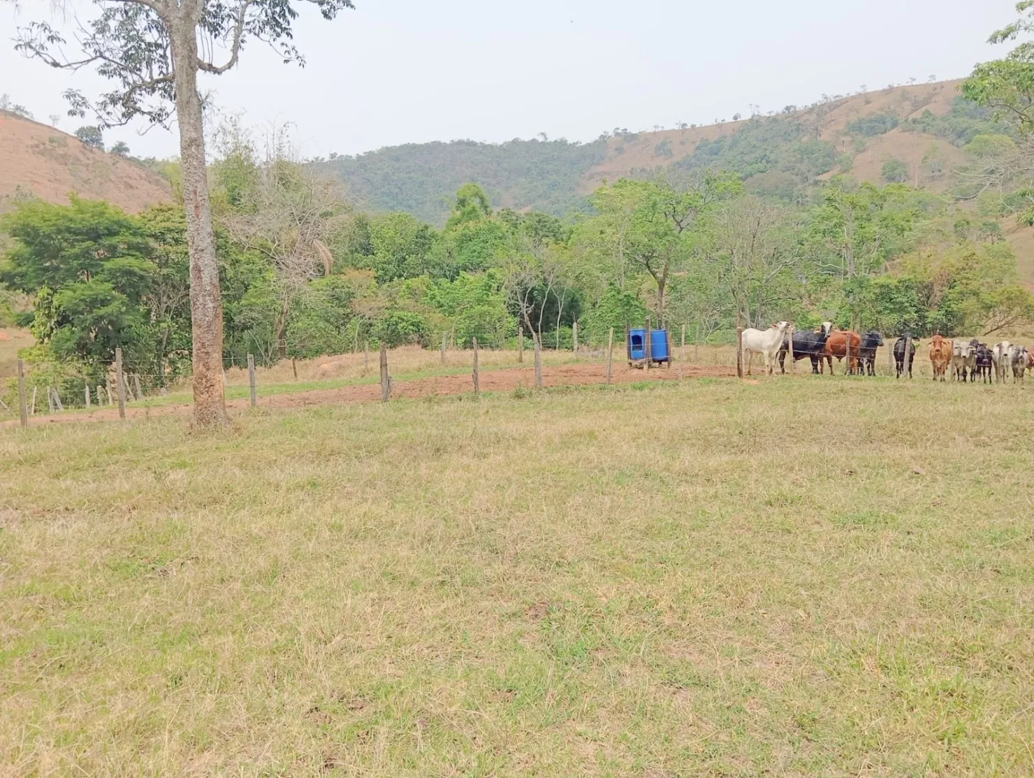 Imagem Fazenda proxima a Dutra paraa venda, , Roseira Velha, SP