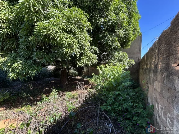 Imagem Terreno à Venda no Bairro São Francisco em Patos de Minas - 465m² para Construir a Casa dos Seus Sonhos!